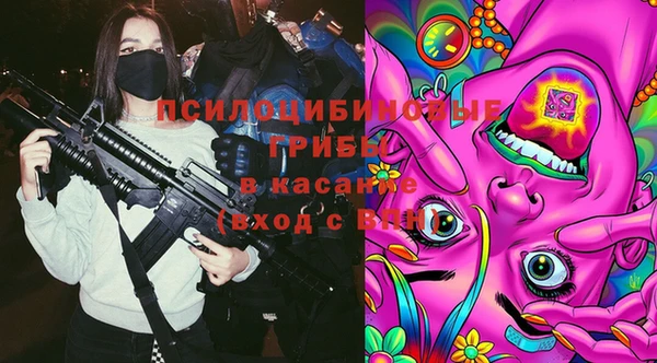 экстази Каменка