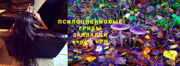 метадон Каменногорск